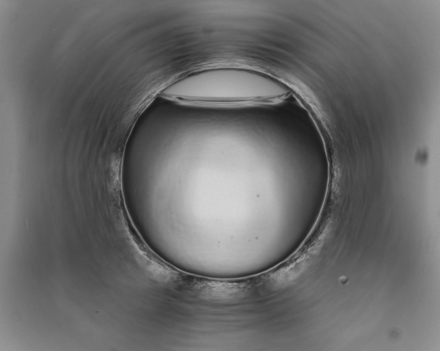 X0000090860849200708171604