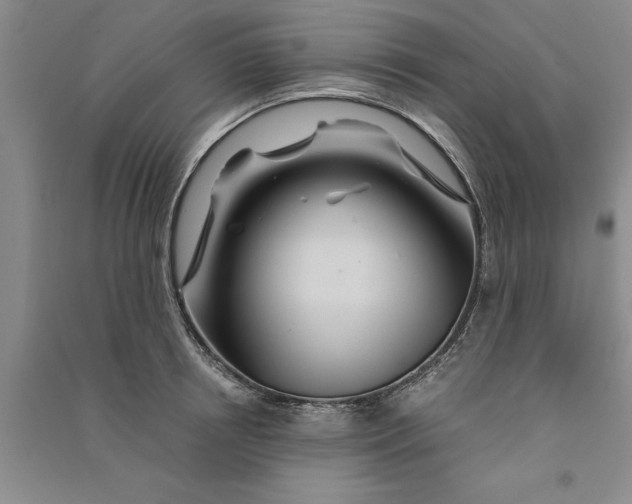 X0000090860850200708171604