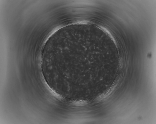 X0000090860851200708171604