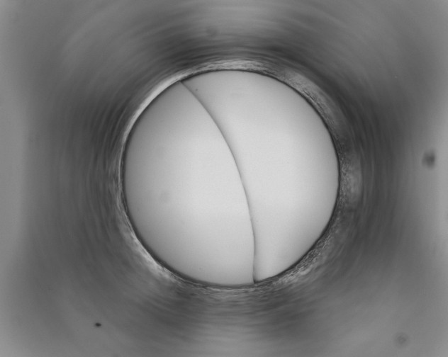 X0000090860852200708171604