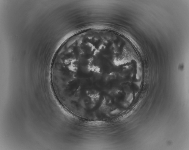 X0000090860853200708171604