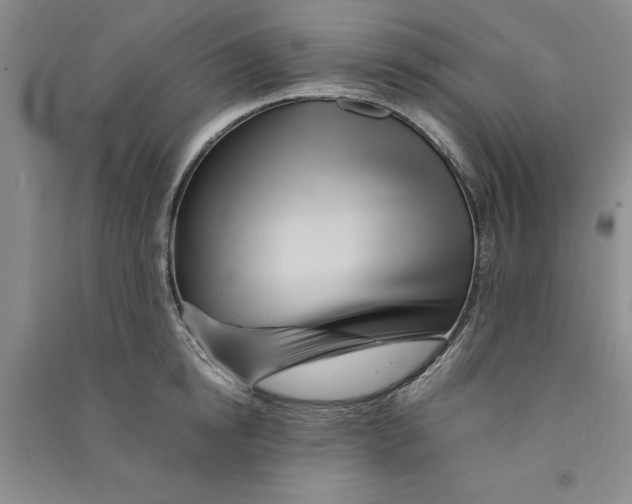 X0000090860854200708171604