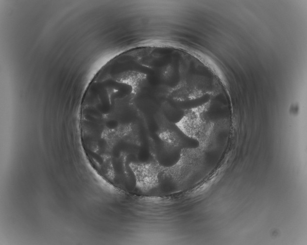 X0000090860855200708171604