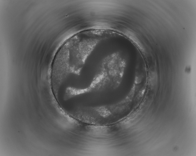 X0000090860856200708171604