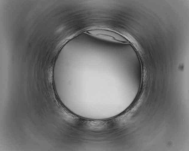 X0000090860857200708171604