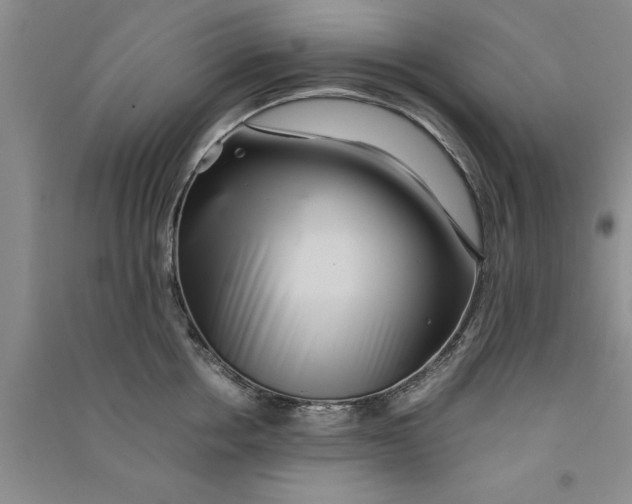 X0000090860858200708171604