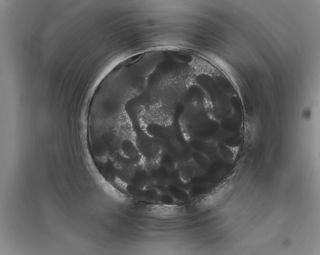 X0000090860859200708171604