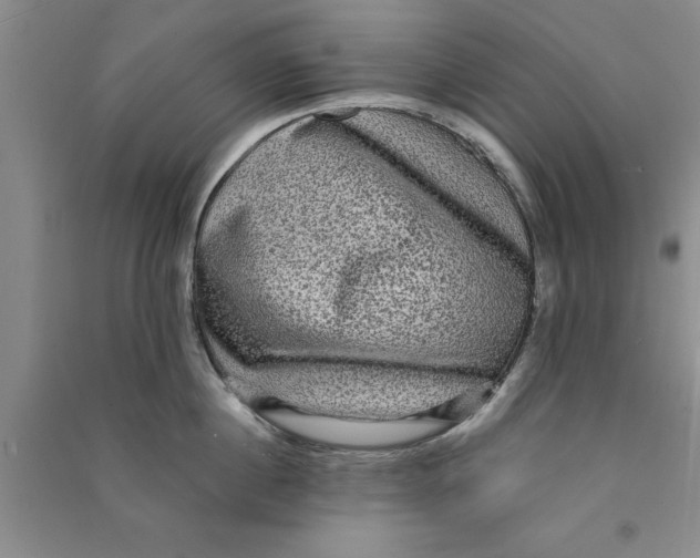 X0000090860860200708171604
