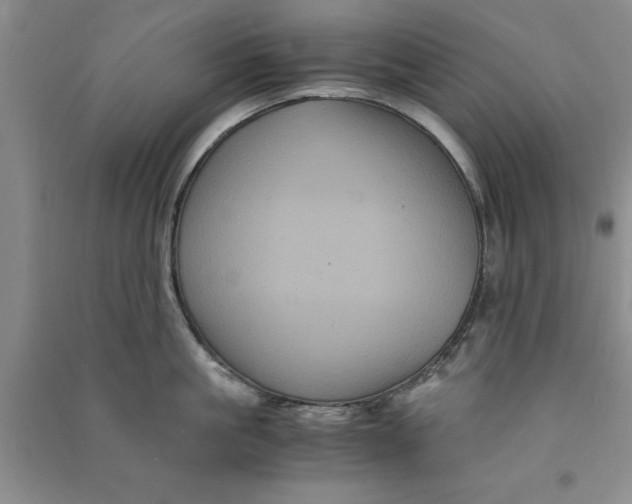 X0000090860861200708171604