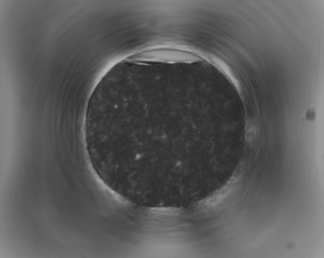 X0000090860863200708171604