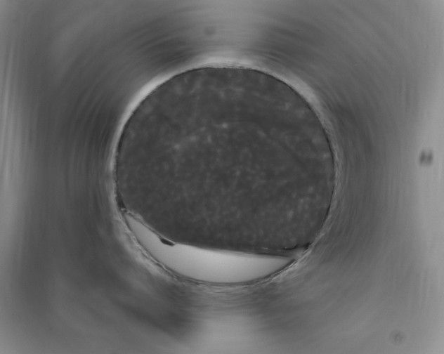 X0000090860864200708171604