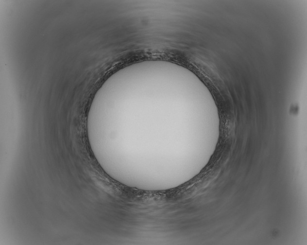 X0000090860865200708171603