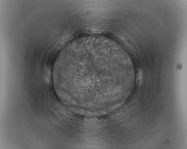 X0000090860866200708171603