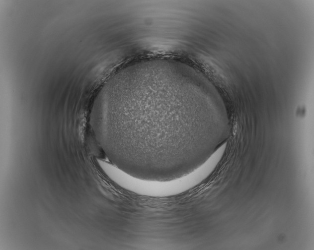X0000090860868200708171603