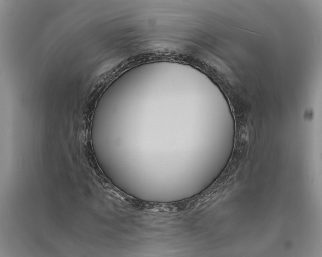X0000090860869200708171603