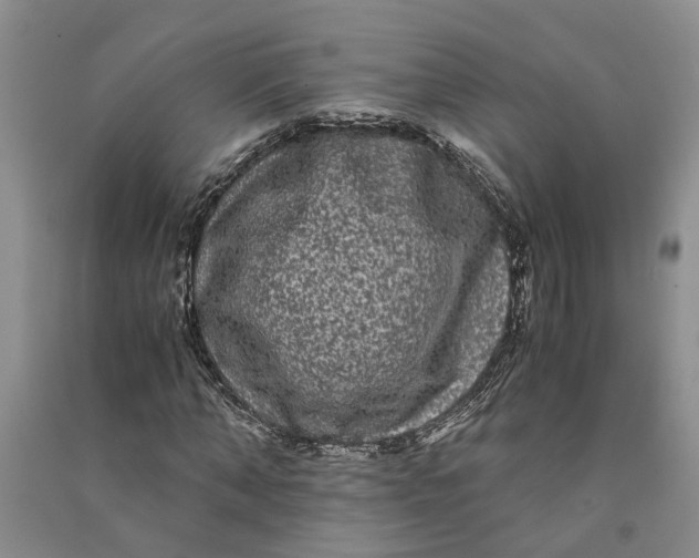 X0000090860870200708171603