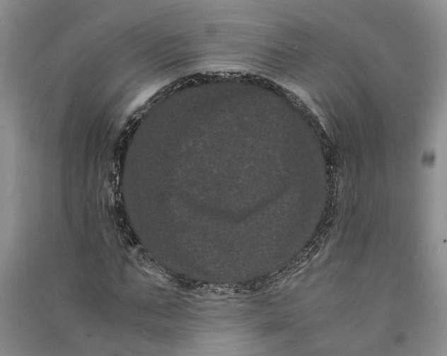 X0000090860871200708171603