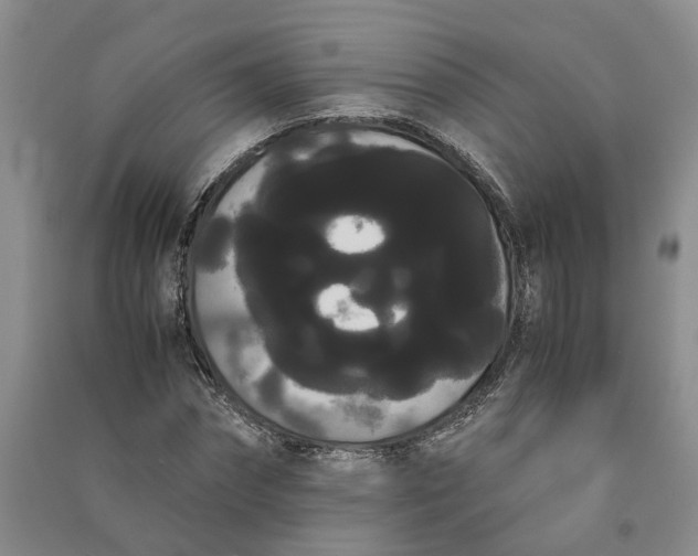 X0000090860874200708171603