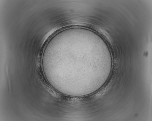 X0000090860875200708171603