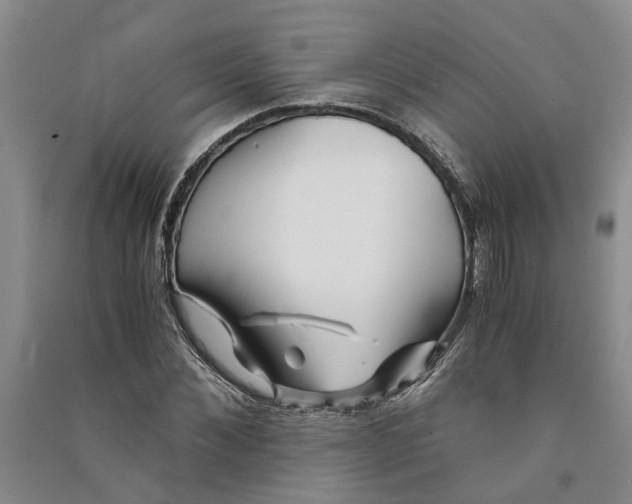 X0000090860876200708171603