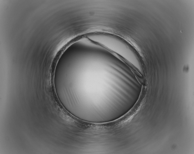 X0000090860877200708171603