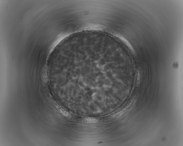 X0000090860878200708171603
