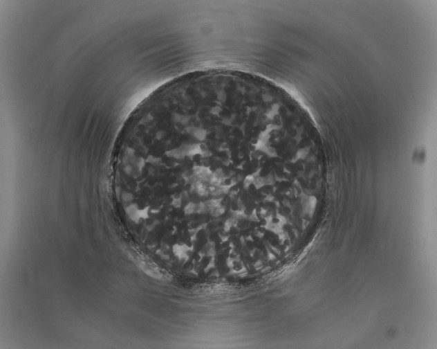 X0000090860879200708171603