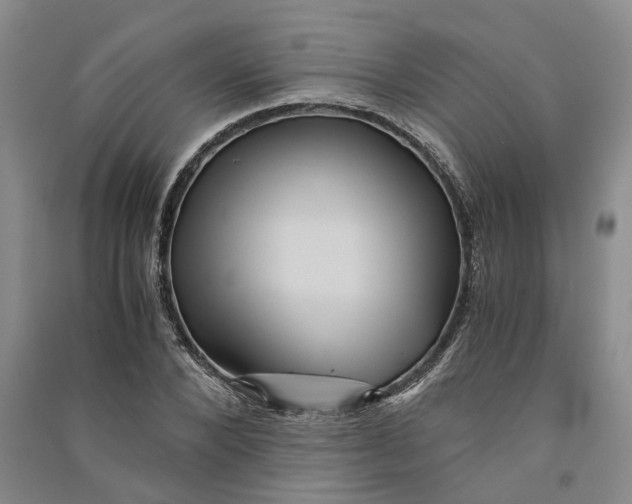 X0000090860880200708171603