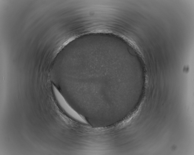 X0000090860881200708171603