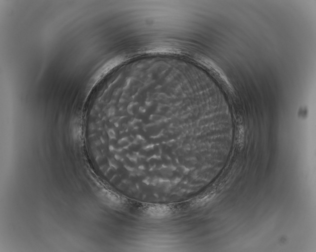 X0000090860882200708171603