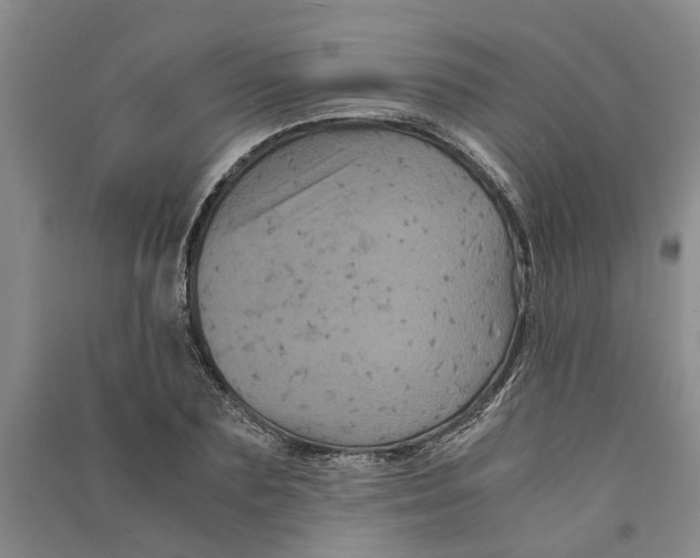 X0000090860883200708171603