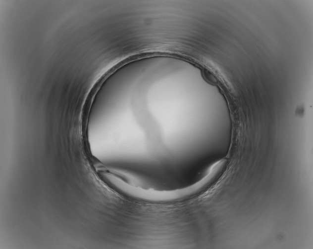 X0000090860884200708171603