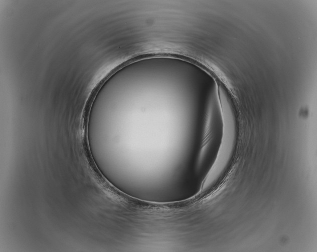 X0000090860885200708171603