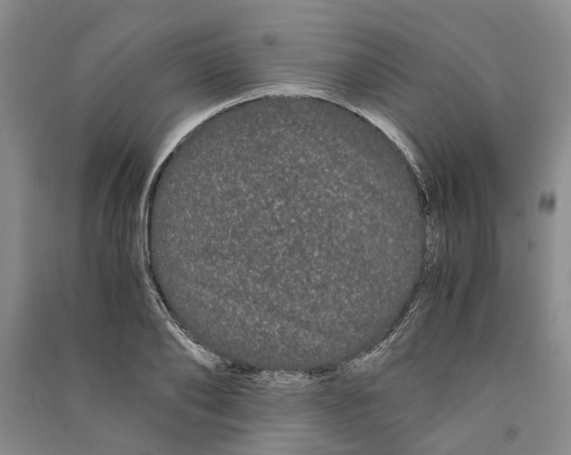 X0000090860886200708171603