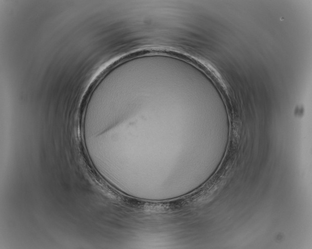 X0000090860887200708171603