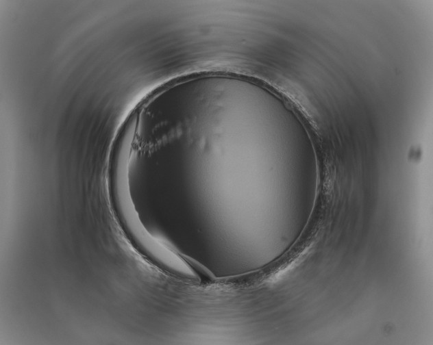 X0000090860888200708171603