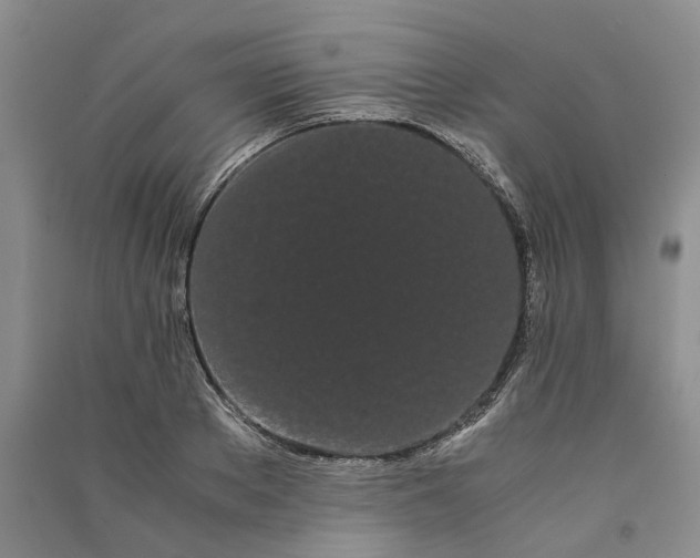 X0000090860889200708171603