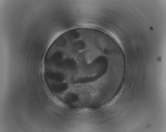 X0000090860891200708171603