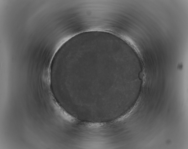 X0000090860892200708171603