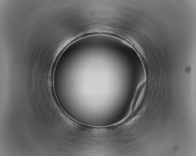 X0000090860893200708171603