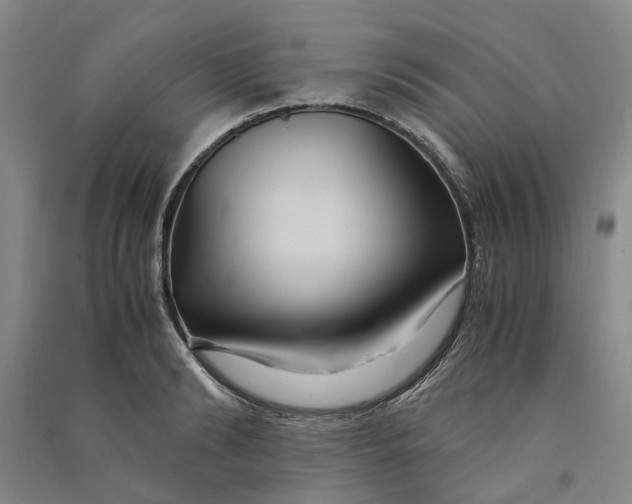 X0000090860894200708171603