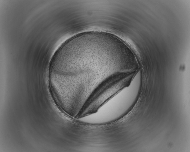 X0000090860896200708171603