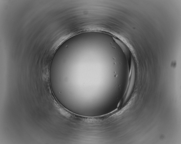 X0000090860897200708171603