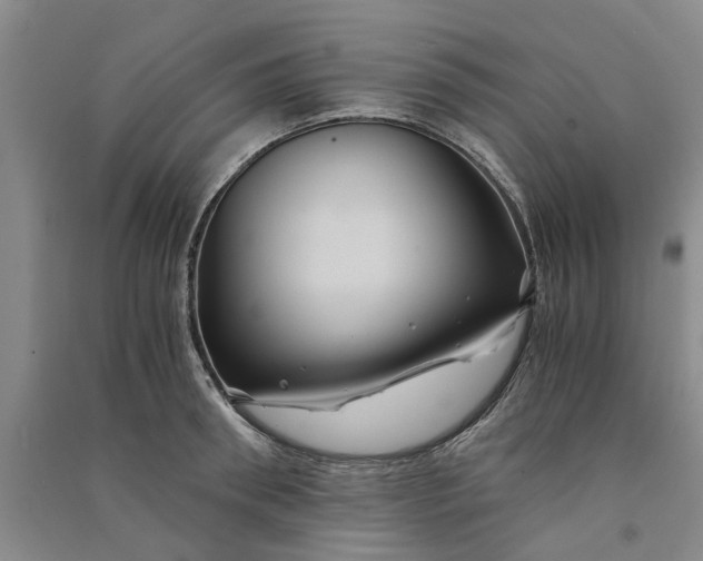 X0000090860898200708171603