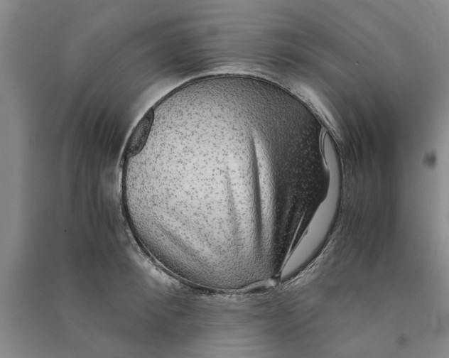 X0000090860900200708171603