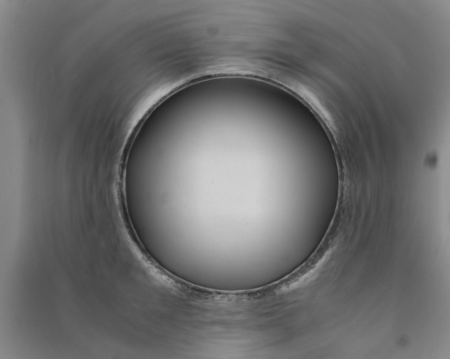 X0000090860901200708171603