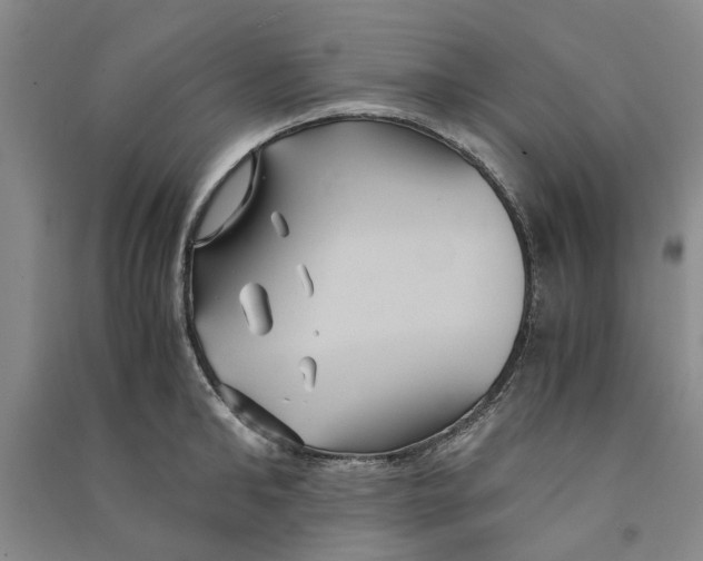 X0000090860902200708171603