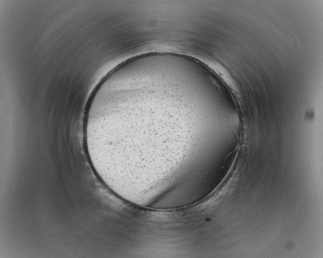 X0000090860904200708171603