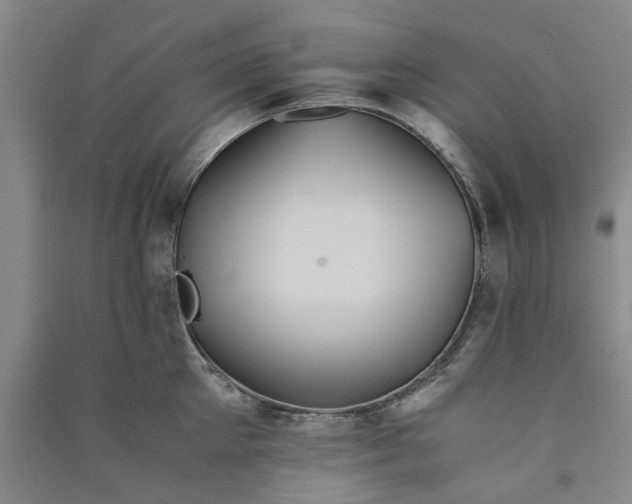 X0000090860905200708171602