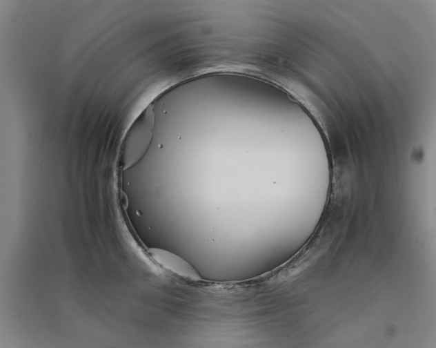 X0000090860906200708171602